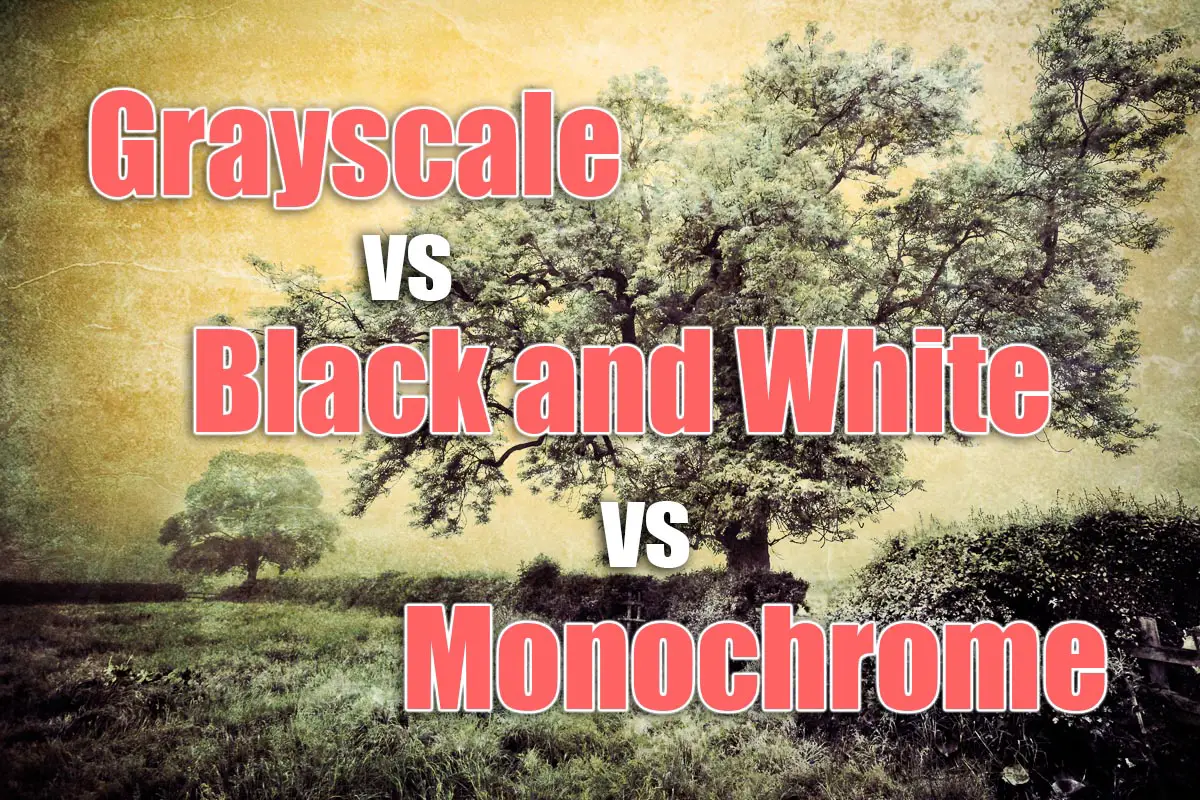 monochrome vs grayscale